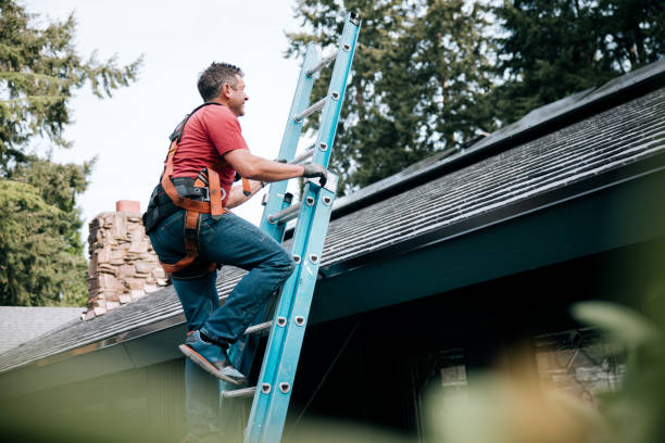 Best Roof Moss and Algae Removal  in Hideo, UT